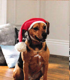 Doggie Christmas Accessories- Neckerchief- Balaclava-Santa hat & Pressie Coat- DK 8PLY- Light Worsted Wool Knitting Pattern PDF download