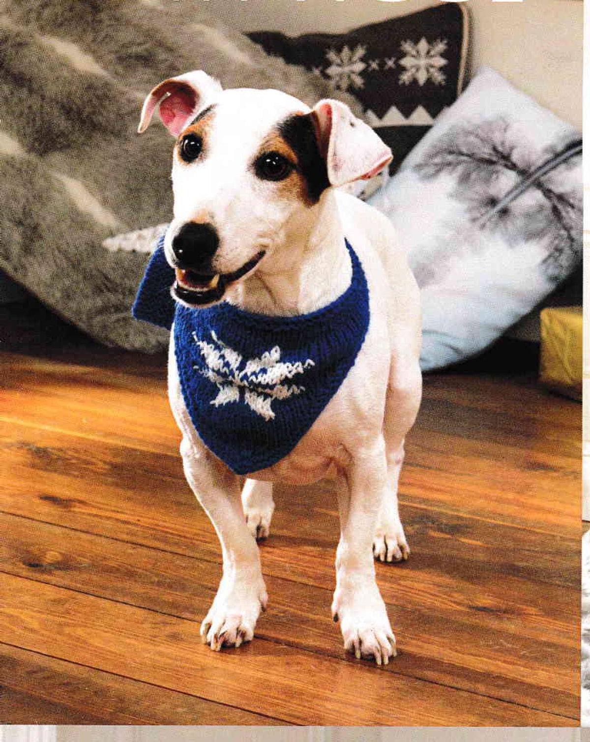 Doggie Christmas Accessories- Neckerchief- Balaclava-Santa hat & Pressie Coat- DK 8PLY- Light Worsted Wool Knitting Pattern PDF download